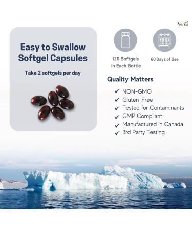 Herba Krill Oil Omega 3 Supplements - 120 Softgels | 1000mg of Antarctic Krill Oil Per Day (2 softgels 500mg each) | Source of Omega 3 Fatty Acids | High Astaxanthin | Premium Grade - 500mg Krill Oil per Soft Gel | 2 Months Supply - Buy Online on SooperMarket.com