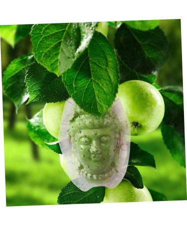 IWOWHERO Fruits Forming Mould Vegetable Growing Mold Ginseng Fruit Melon Shaping Mold Novel Shaping Mold Multipurpose Gourd Head - Buy Online on SooperMarket.com