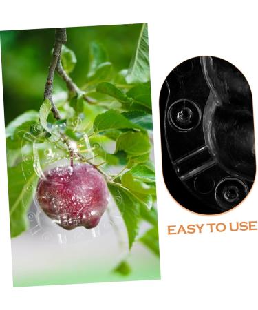 Kisangel 2pcs Shaped Fruit Novel Shaping Adorable Forming Shaper Accessories Watermelon - Buy Online on SooperMarket.com