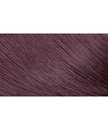 Bigen Speedy Conditioning Color Refill 4B Burgundy Brown - 3 Pack - Buy Online on SooperMarket.com