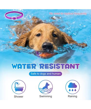 Bieyoc Calming Collar for Dogs 3 Packs Dog Anxiety Relief Adjustable Calming Collar for dogs Separation Anxiety Relief Stress 60 Days Long Lasting Calming Effect for Large Middle and Small Dogs - Buy Online on SooperMarket.com
