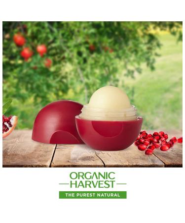  Moisturizing Pomegranate Lip Balm | Organic Lip Care for Dry & Chapped Lips | Paraben & Sulphate Free - 8 gm  - Buy Online on SooperMarket.com