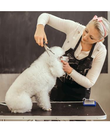 Pogeair 6-in-1 Safety Round Head Stainless Steel Dog Grooming Scissors Kit - Heavy Duty Titanium Coated Pet Grooming Scissors for Dogs, Cats & Other Pets - Buy Online on SooperMarket.com