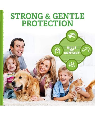 Natural Care Flea and Tick Spray for Dogs and Cats | 14 oz | Certified Natural Oils | Flea Treatment and Prevention - Buy Online on SooperMarket.com
