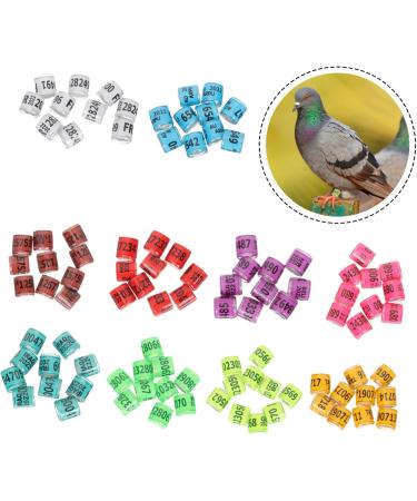 Balacoo 300 Pcs Homing Pigeon Identification Ring Tools Private Pigeons Marker Bird Distinguish Tool Birds 1.1x0.8cm x3pcs Colorfulx3pcs - Buy Online on SooperMarket.com