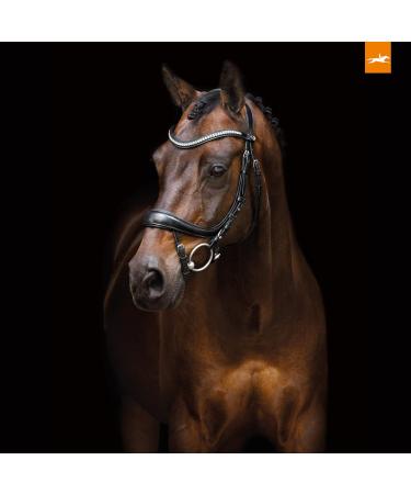 Schockem hle EQUITUS BETA Anatomical Special Bridle - Black Silver VB | Premium Equestrian Gear for International Shipping - Buy Online on SooperMarket.com