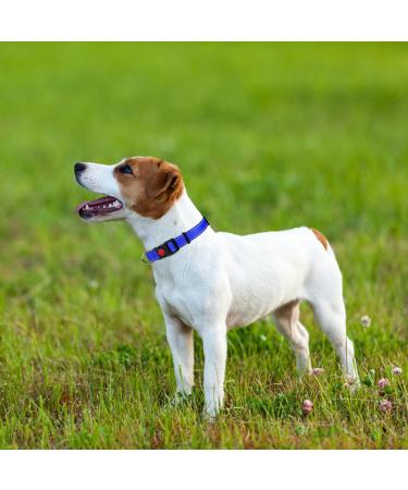 Taglory Soft Padded Neoprene Dog Collar for Small Dogs | Adjustable & Reflective | Dark Blue S (1 Pack) - Perfect for Training - Buy Online on SooperMarket.com