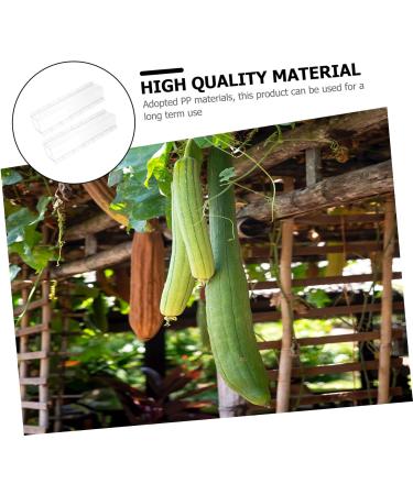 Kisangel 2pcs Square Cucumber Vegetables Vegetable Grow Forming Mould Tool Fruit Container - Buy Online on SooperMarket.com