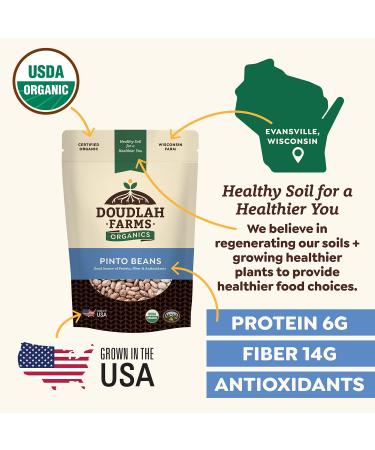 Organic Dried Pinto Beans 5lb Bulk | Grown in USA | Vegan & Non-GMO | Fiber & Protein for Soups, Burritos, Salads | Doudlah Farms - Buy Online on SooperMarket.com