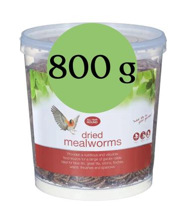 Blumixx mealworms for wild birds and small animals - 800g bucket dried & nutritious - ideal for bird feed in winter and as a nutritional supplement for pets