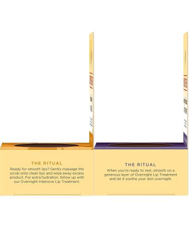 Burt's Bees Lip Balm & Lip Treatment Set - Overnight Intensive Care & Conditioning Scrub - 0.50 oz (Pack of 1) - Buy Online on SooperMarket.com