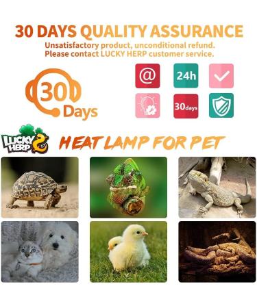 LUCKY HERP Ceramic Heat Emitter 150W 2 Pack Ceramic Heat Lamp for Reptiles Reptile Heat Basking Bulbs for Amphibian Bearded Dragon Turtle Chicken 150.0 Watts - Buy Online on SooperMarket.com
