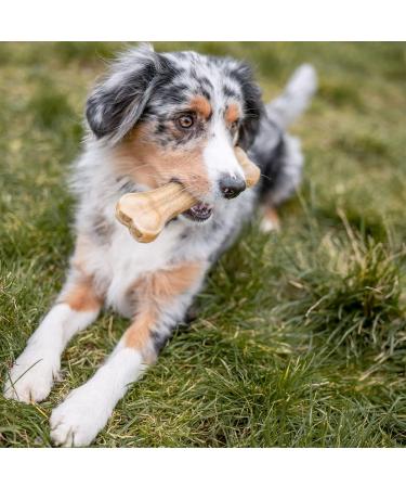 Nobby Chewing Bone Pressed - 32cm 420g | Durable Dog Chew | International Shipping Available - Buy Online on SooperMarket.com