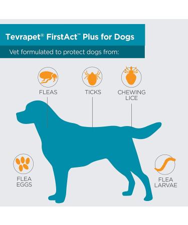 TevraPet FirstAct Plus Flea and Tick Prevention for Medium Dogs - 3 Doses (6-22 lbs) - Buy Online on SooperMarket.com