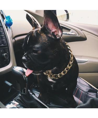 Gold Link Chain Necklace for Small Dogs - 27cm - Lightweight Bling for Chihuahua, Yorkie & Mini Breeds - Cute Pet Jewelry (Gold) - Buy Online on SooperMarket.com