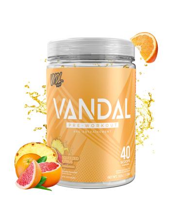 Vandal | Pre Workout Powder - Safe Nootropic Pre Workout Supplement for Men & Women | Boosts Energy Focus Performance & Recovery | Nitric Oxide Booster for Blood Flow | 40 Servings (Squeezed Citrus)