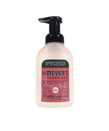 Foaming Hand Soap, Watermelon 10 Oz by Mrs Meyers (Pack of 3) Watermelon 10 Fl Oz (Pack of 3)