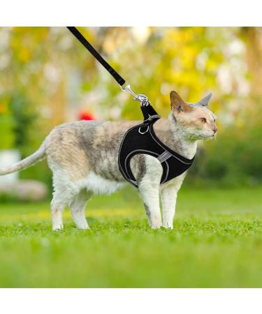 Frevoitna Cat Dishes with Leash - Adjustable Cat Harness Reflective & Breathable - Ideal for Walks (Black XS) - International Shipping Available - Buy Online on SooperMarket.com