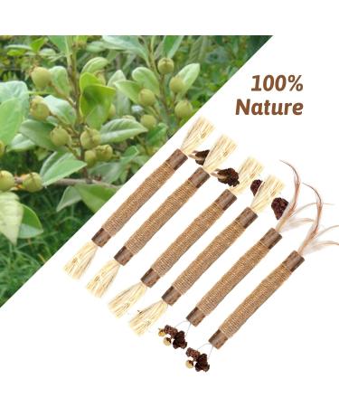 Dacitiery Cat Silvervine Chew Sticks Cat Toys Natural Cat Teeth Nip Cleaning Teeth Chew Catnip Toys for Indoor Cat Teeth Cleaning Kitten Teething and Stress Release (3 Style 6 Pack) - Buy Online on SooperMarket.com
