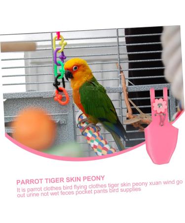 Angoily 3-Piece Parrot Suit for Nymphensittich & ARA - Bird Diaper Costume for Small Parrots - Durable & Stylish Wing Clothing - Buy Online on SooperMarket.com