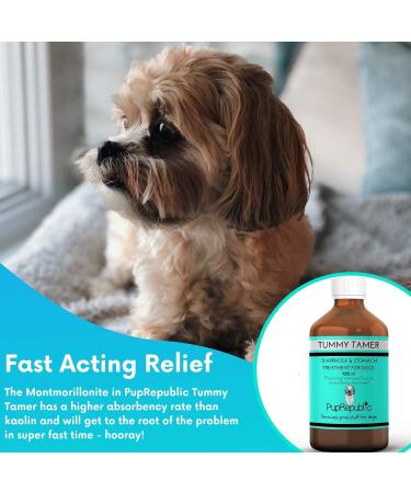 PupRepublic Fast Acting dog diarrhea treatment - Digestive Disorders - More Effective than Kaolin - Sickness & Allergy Relief for Dogs of All Breeds & Sizes 250 ml (Pack of 1) - Buy Online on SooperMarket.com