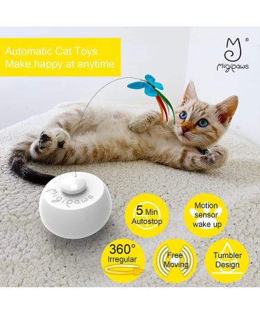 Migipaws Tunnel Cat Toy Set with Automatic Butterfly Play | Interactive Indoor Kitten Entertainment | Rechargeable & Innovative Design - Buy Online on SooperMarket.com