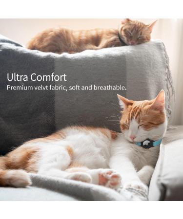 Apple AirTag Cat Neck Band - Light Tracker for Kittens & Puppies (7-9 inch) - Blue | International Shipping - Buy Online on SooperMarket.com