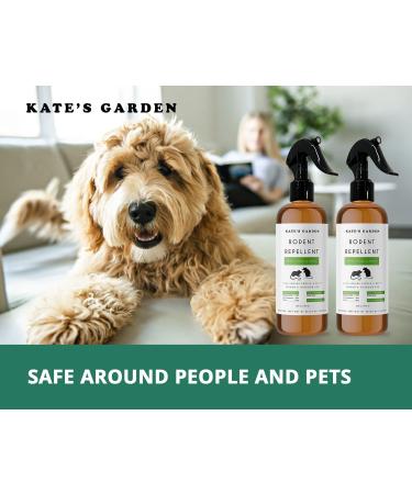 Kate's Garden Rodent Repellent Spray with Peppermint Oil - 16oz (2-Pack) | Non-Toxic Mice & Rat Repellent | Indoor & Outdoor Use | Made in USA - Buy Online on SooperMarket.com