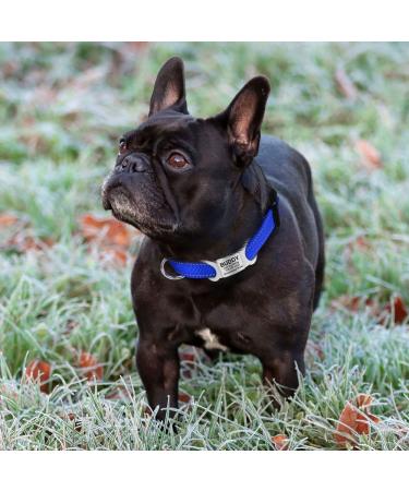TagME Reflective Nylon Dog Collar - Adjustable Classic Collar with Quick Release Buckle - Small Size, Royal Blue - Buy Online on SooperMarket.com