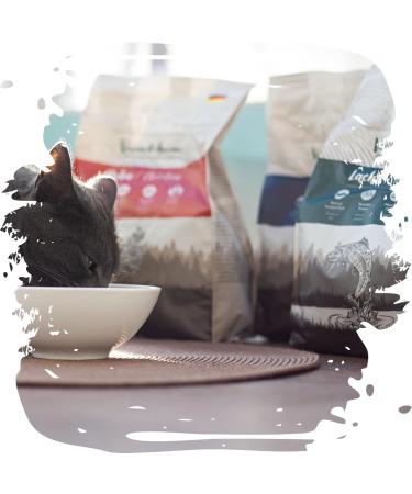 Venandi Animal Premium Cat Food - Salmon Grain-Free Fresh Fish Dry Food - 300g Pack - Buy Online on SooperMarket.com