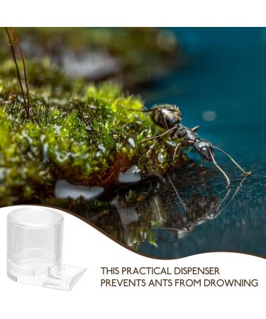 SEWOART Pet Water Feeder Ant Feeder Ant Watering Station Ant Water Feeder Ant Waterer Plastic Transparent - Buy Online on SooperMarket.com
