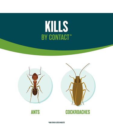 Ecologic Home Insect Control 64 fl oz - Kills Ants, Cockroaches, Spiders & More - Buy Online on SooperMarket.com