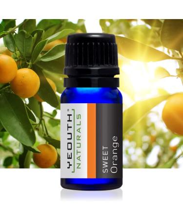 Yeouth Therapeutic Essential Oil Starter Pack - 6 x 10ml - Pure Aromatherapy - Buy Online on SooperMarket.com