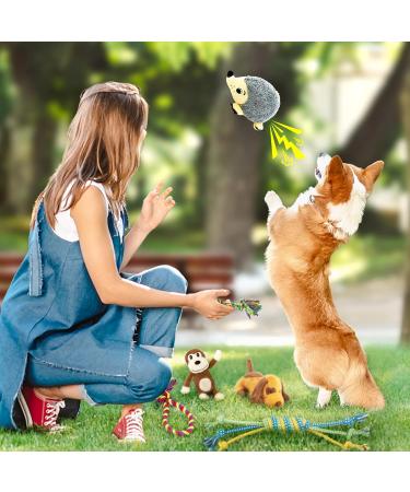 12 Piece Cute Plush Squeak Dog Toys Set | Natural Cotton Puppy Rope & Chicken Tools for Pets | Perfect for Dogs & Puppies - International Shipping - Buy Online on SooperMarket.com