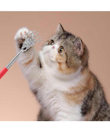 Neamou Cat & Dog Back Scratch Massage Tool - Stainless Steel Pet Grooming & Cleaning for Cats Dogs Rabbits & More - Buy Online on SooperMarket.com
