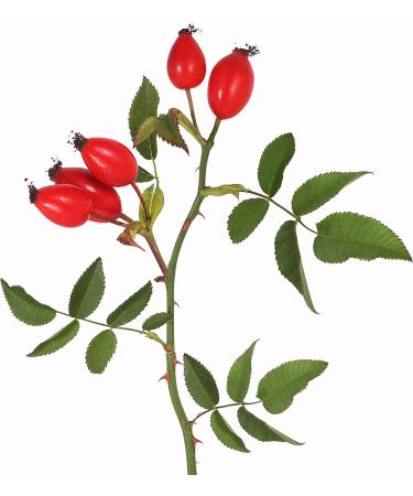 Rosehip Shells Cut Fine from Mimea - Great for Tea or Supplement 1kg - Buy Online on SooperMarket.com