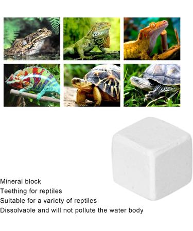 Premium Aquarium Calcium Stone - Essential Trace Elements for Turtles Snails & Reptiles - Ideal for Terrestrial Animals - Buy Online on SooperMarket.com