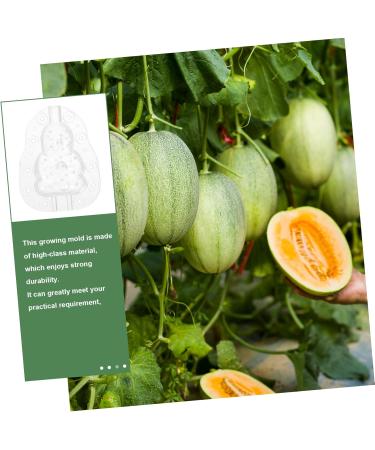 VINTORKY 3pcs Vegetable Mold Ginseng Creative Melon Fruit Accessory Forming Machine Gourd - Buy Online on SooperMarket.com