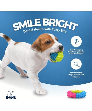 Fur & Bone 10 Pack Dog Chew Toys | Puppy Toys Dog Toys for Boredom | Indestructible Dog Toys with Rope Toys Squeaky Toy | Dog Toy Dog Teething Toys for Small & Medium Dogs | Dog - Buy Online on SooperMarket.com
