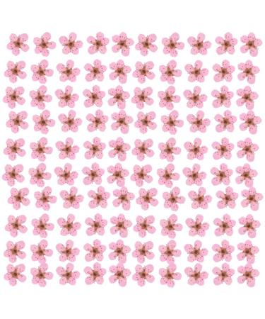 YUNZHI Pressed Flower for Resin Small Plum Blossom Narcissus Dried Flower Real Flower Nail Flower Material Glue Drop Mobile Phone case Hand Made 100pcs/pack (Light Pink)