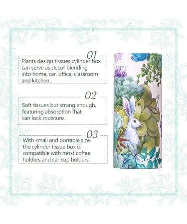 RONGCHUANG Facial Tissue: 4 Packs, 150 Count Per Tube, Portable Cylinder Box for Office, Car, Home - Green - Buy Online on SooperMarket.com