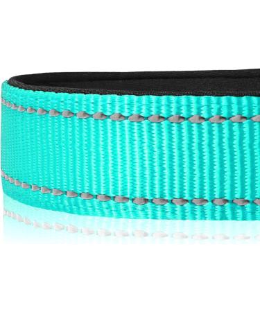 Joytale Reflective Dog Collar - Adjustable & Padded Nylon Collar for Dogs - 12 Colors - Small to Extra Large Sizes - Teal - Buy Online on SooperMarket.com
