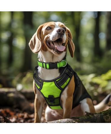 Joytale Reflective Dog Collar for Medium Dogs - Green Pack of 1 | Durable & Stylish - Buy Online on SooperMarket.com