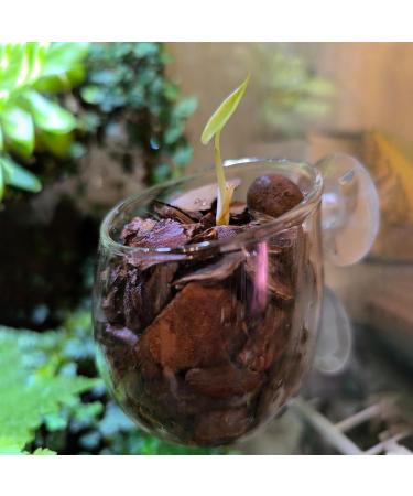 Vtinyeal Aquarium Plant Keep Cup - 2 Pieces Water Plant Pot with Suction Cups | Aqua Decoration & Accessories - Buy Online on SooperMarket.com
