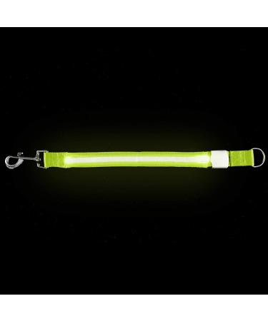 Furhaven Pet Hands-Free Bungee Dog Leash with LED Collar and Safety Features - Multiple Colors and Sizes - Buy Online on SooperMarket.com