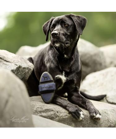 Animalon Shorthair Dog Brush | Effective Fur Care for Short-Haired Dogs | Innovative Card tsche | Blue (Large) - Shop Now! - Buy Online on SooperMarket.com