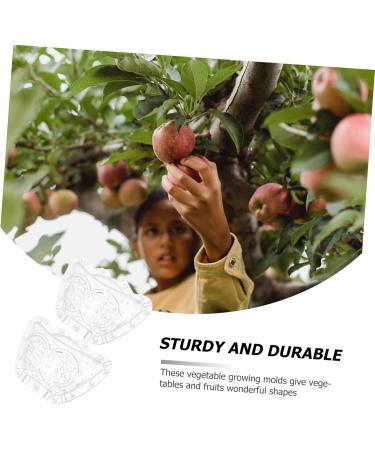 Kisangel 2pcs Ingot Shaped Mold Vegetables Cucumber Mold Fruit Growing Shaper Gardening Supplies Stereotypes - Buy Online on SooperMarket.com