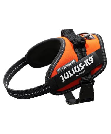 IDC Powerharness Size: XS/Mini-Mini UV Orange UV Orange XS/Mini-Mini