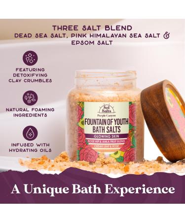 PURPLE CANYON SolSalts Fountain of Youth Bath Salts | Lavender Rose & Cedar Detox Soak with Epsom Salt for Glowing Skin - International Shipping Available - Buy Online on SooperMarket.com