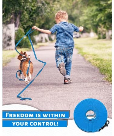 Looxmeer Dog Tow Lines - 3m to 30m Training Lead | Robust Neon Blue with Storage Bag - Buy Online on SooperMarket.com